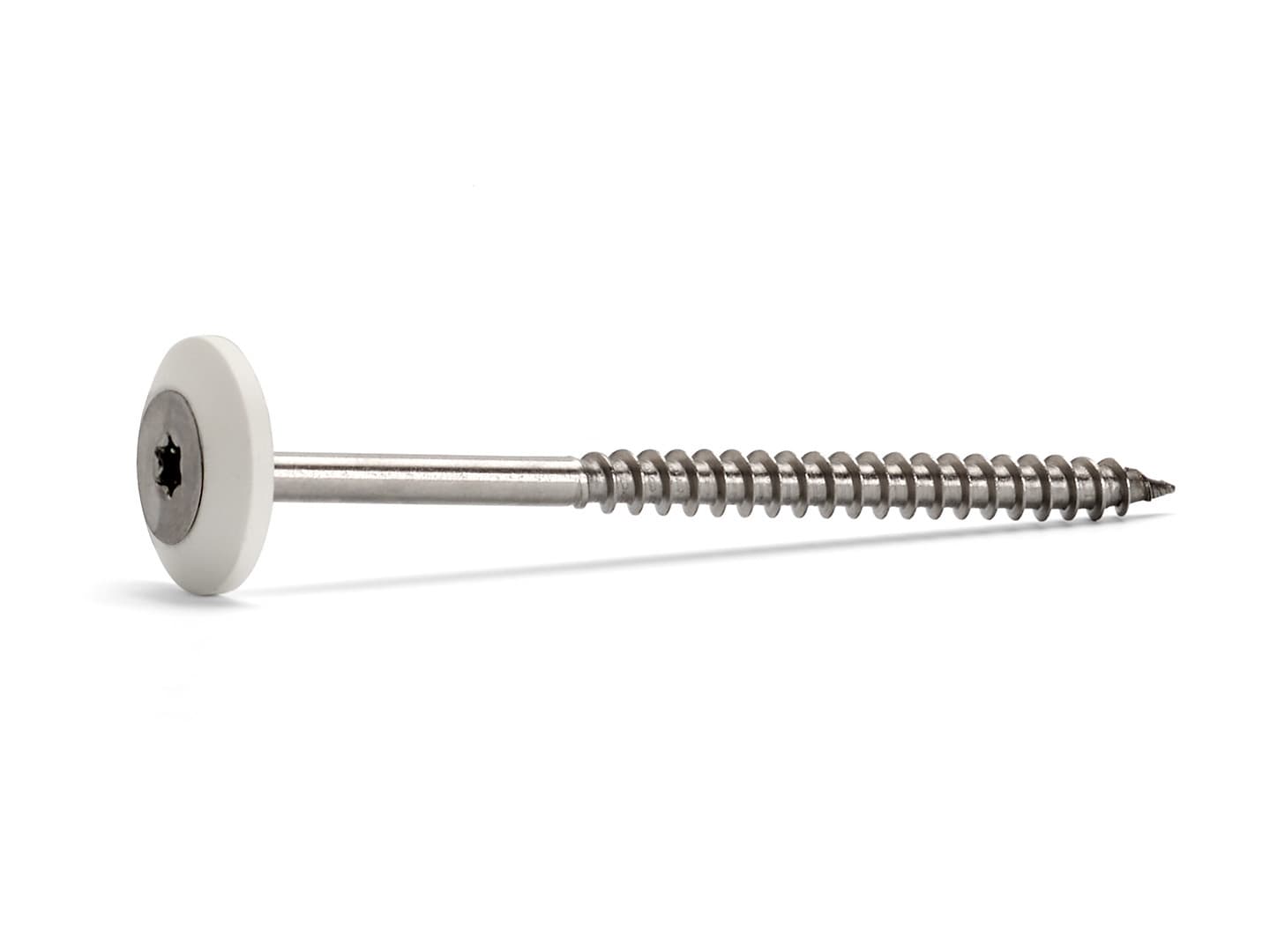 Wilan Zubehör Randschraube Inox mit weisser Cuvette